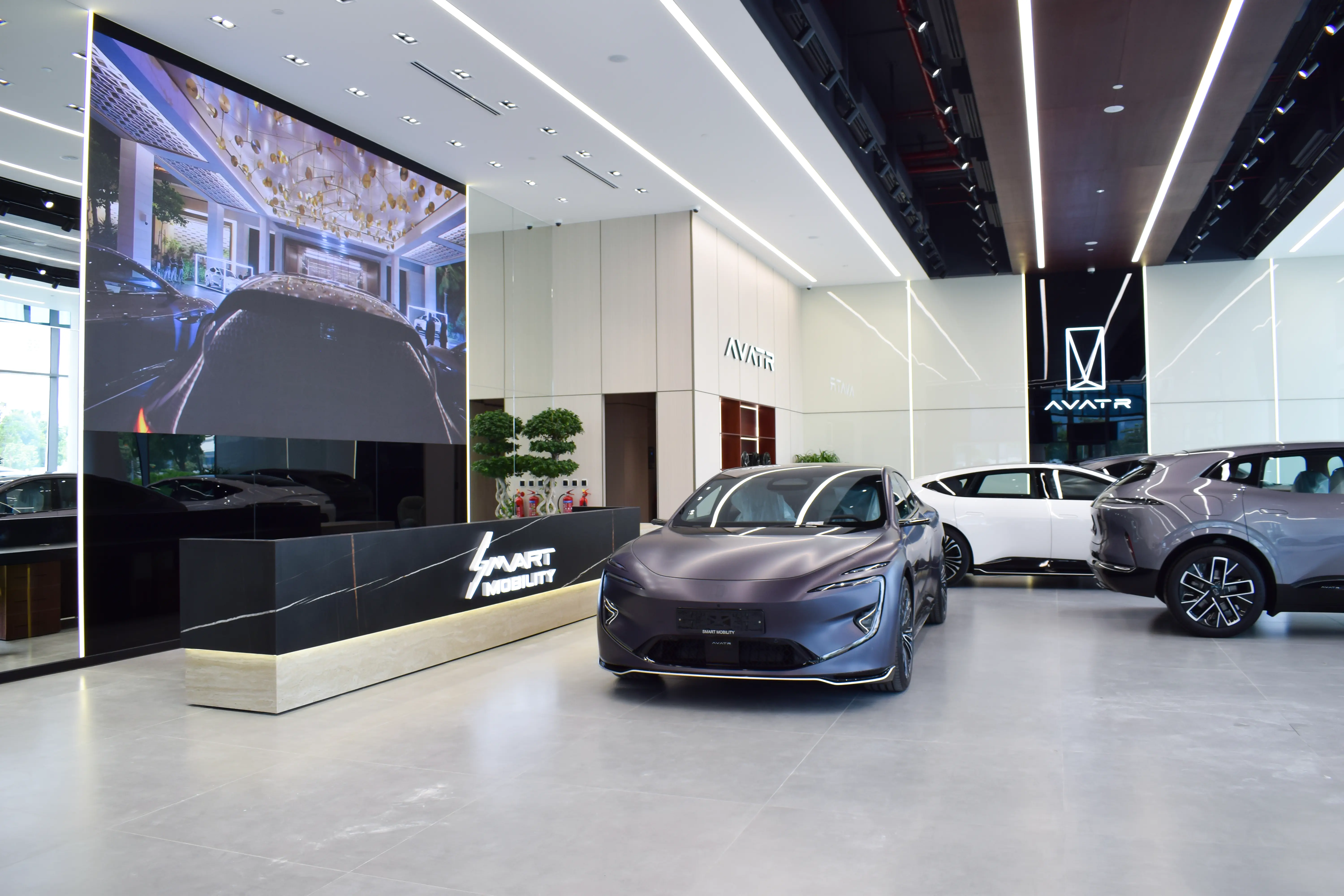 Smart Mobility Car Showroom